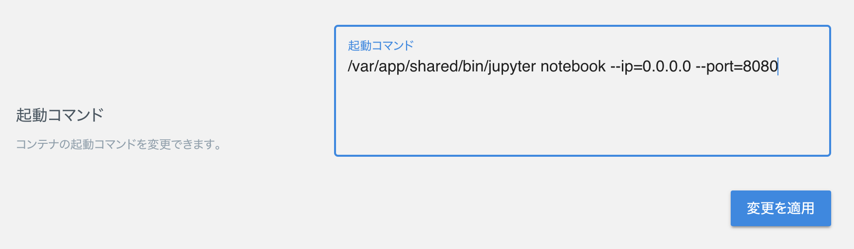 command-input-jupyter.png